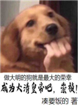 成为大清皇帝